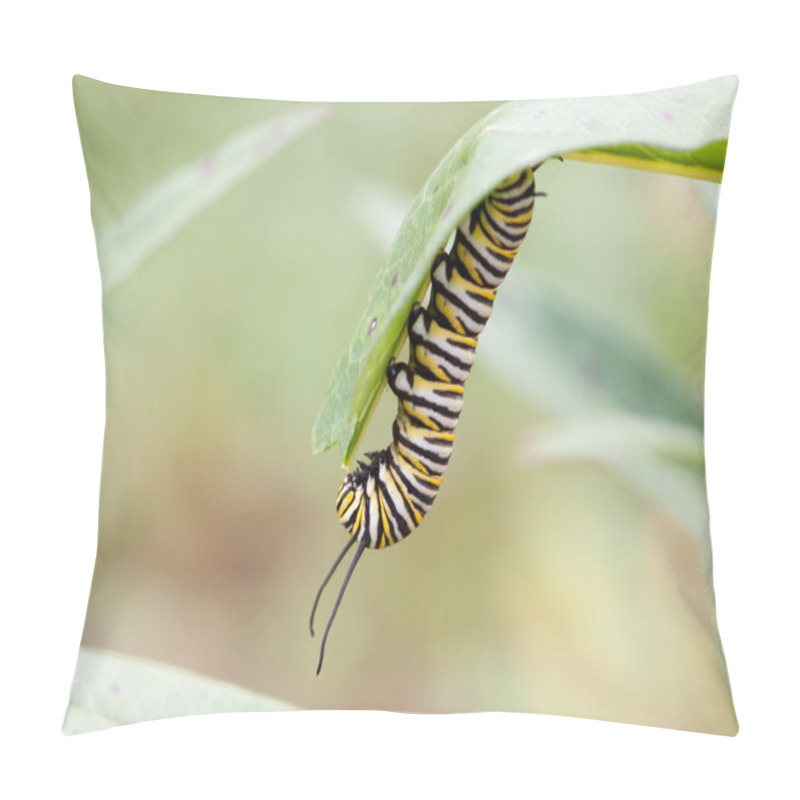 Personality  A Monarch Caterpillar Pillow Covers