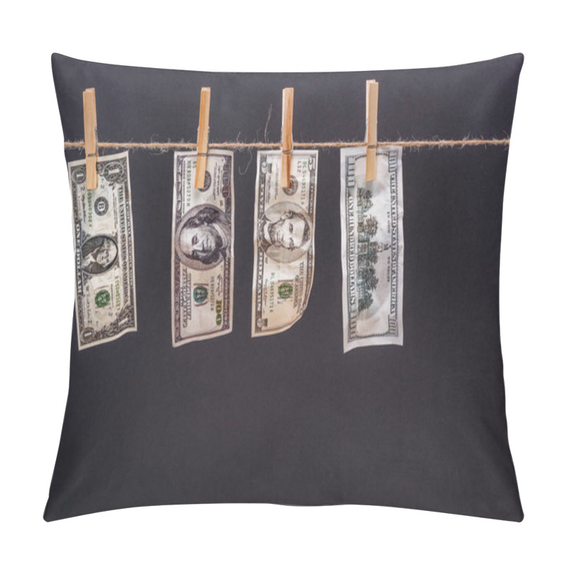 Personality  Dollar Banknotes Hanging On Rope  Pillow Covers