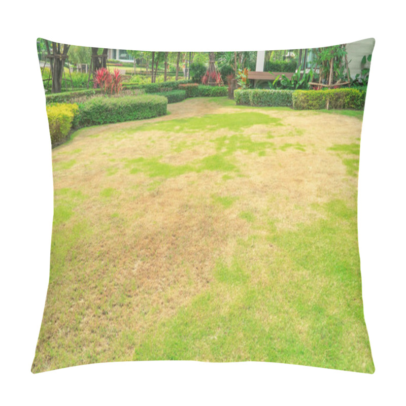 Personality  Pests And Disease Cause Amount Of Damage To Green Lawns, Lawn In Bad Condition And Need Maintaining, Landscaped Formal Garden, Front Yard With Garden Design, Peaceful Garden, Path In The Garden. Pillow Covers