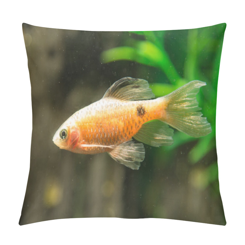 Personality  Nature Pillow Covers