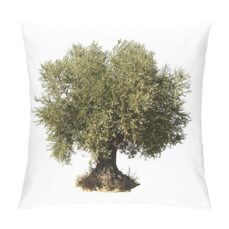 Personality  Olive Tree White Isolated Pillow Covers