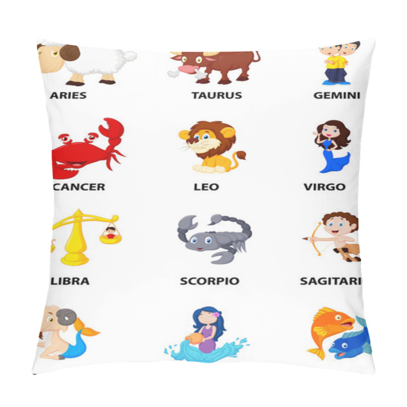 Personality  Funny Zodiac Pillow Covers