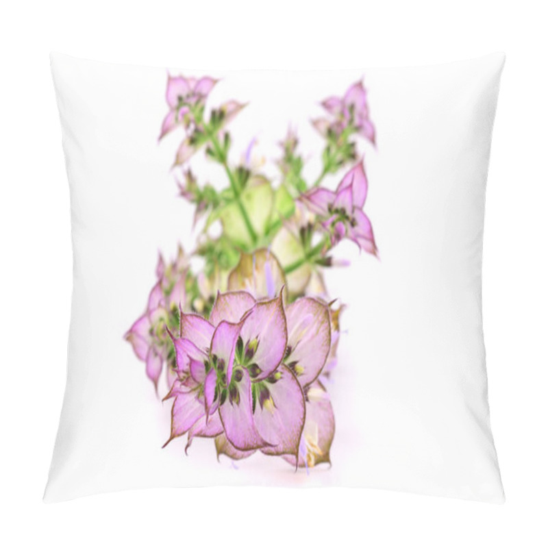 Personality  Clary Sage (Salvia Sclarea) Medicinal Herb Plant. Isolated On White Background. Pillow Covers