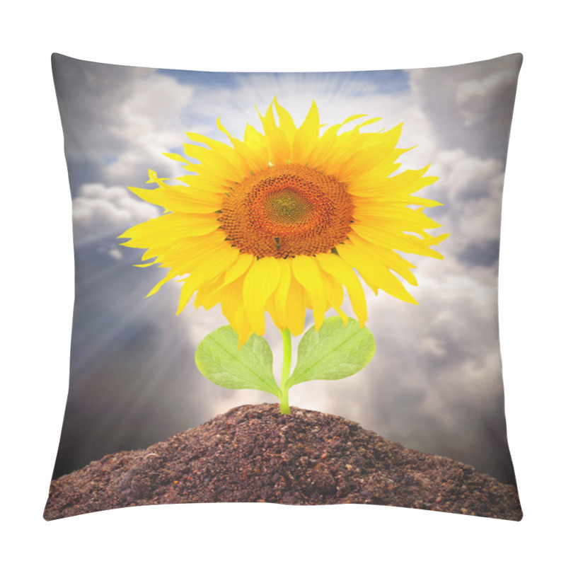 Personality  The Sunflower Growing Pillow Covers