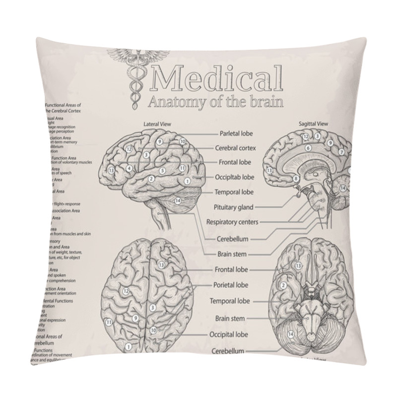 Personality  Medical Anatomy Of Human Brain. Medicine, Vector Illustration Po Pillow Covers