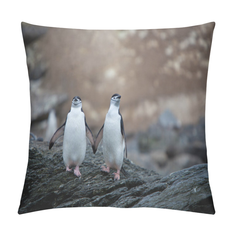 Personality  Chinstrap Penguins In Antarctica Pillow Covers