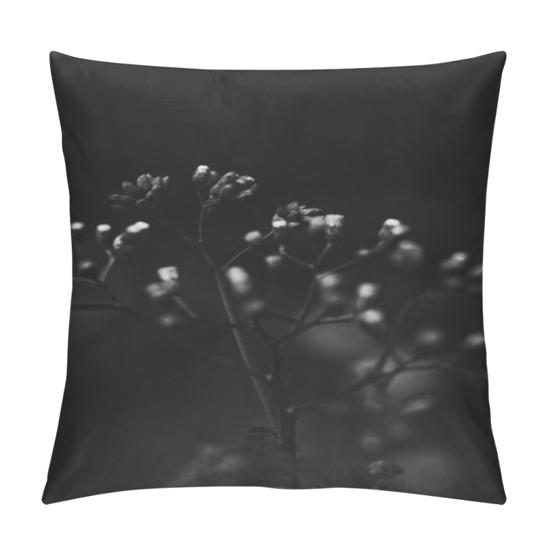 Personality  Close-up Of Delicate White Flower Buds In A Moody Black And White Setting. Pillow Covers