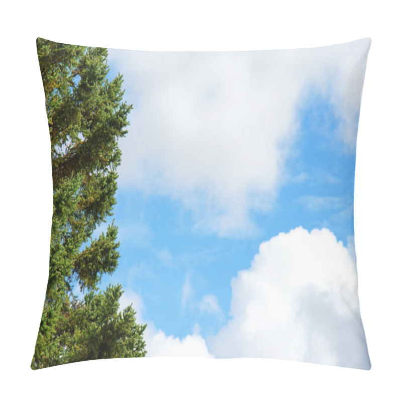 Personality  Evergreen Tree And Blue Sky Pillow Covers