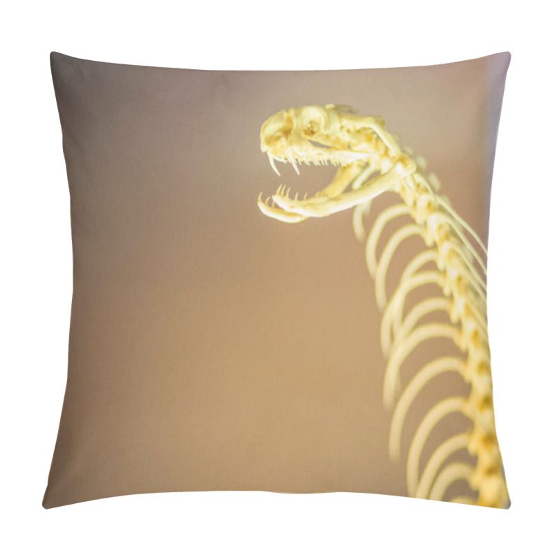 Personality  Snake Skeletons Of Monocled Cobra (Naja Kaouthia), Also Called Monocellate Cobra, Is A Cobra Species Widespread Across South And Southeast Asia. Pillow Covers