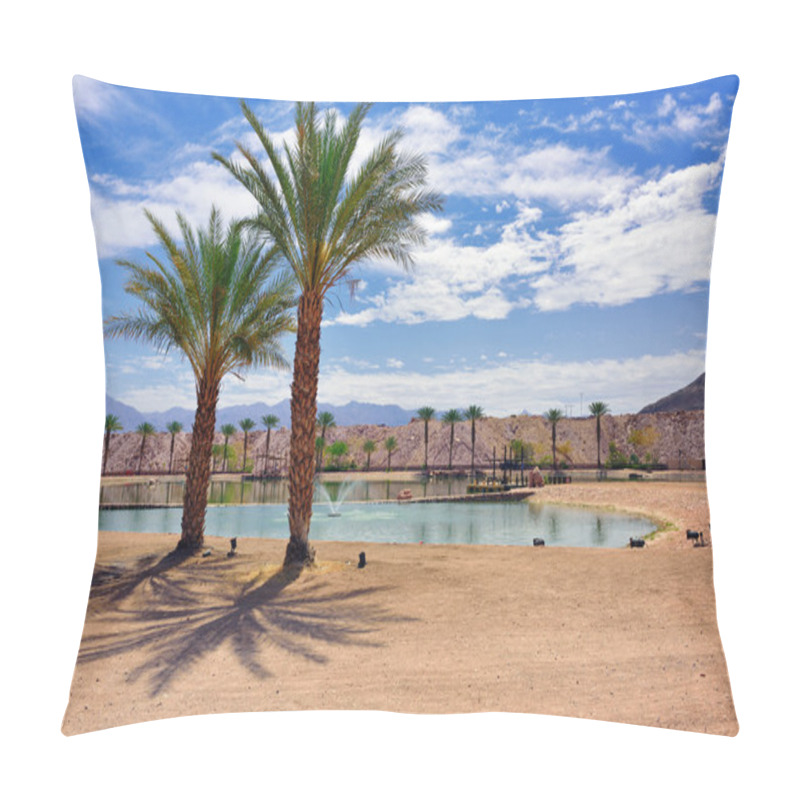 Personality  Timna Park, Israel Pillow Covers