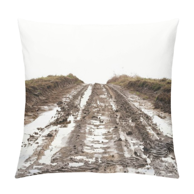 Personality  Mud-covered Rural Path Reflecting Light, With Grass Borders On Either Side, Creating A Serene And Rustic Atmosphere. Pillow Covers