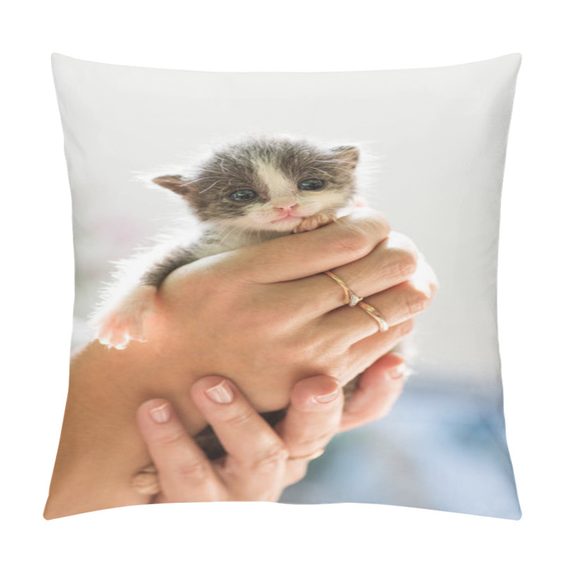 Personality  Sweet Newborn Grey Kitten In The  Hands Pillow Covers