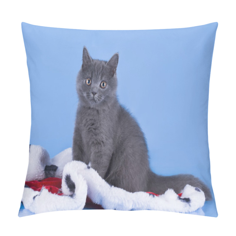 Personality  British Kitten With The Mantle Of The King On A Blue Isolated Ba Pillow Covers