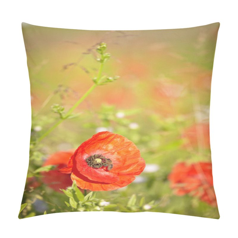 Personality  Red Poppies With Out Of Focus Poppy Field In Background. Pillow Covers