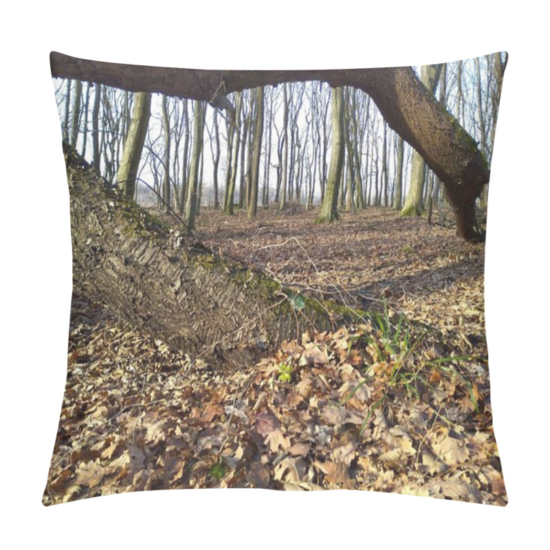 Personality  Fallen Tree In Autumn Forest. Natural Landscape In Autumn Forest. Pillow Covers