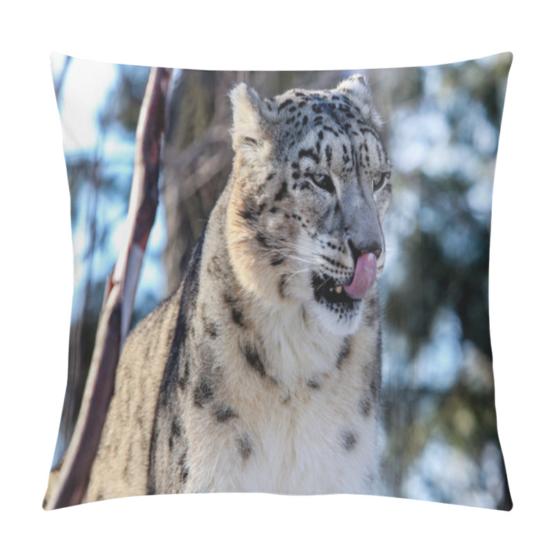 Personality  Snow Leopard Pillow Covers