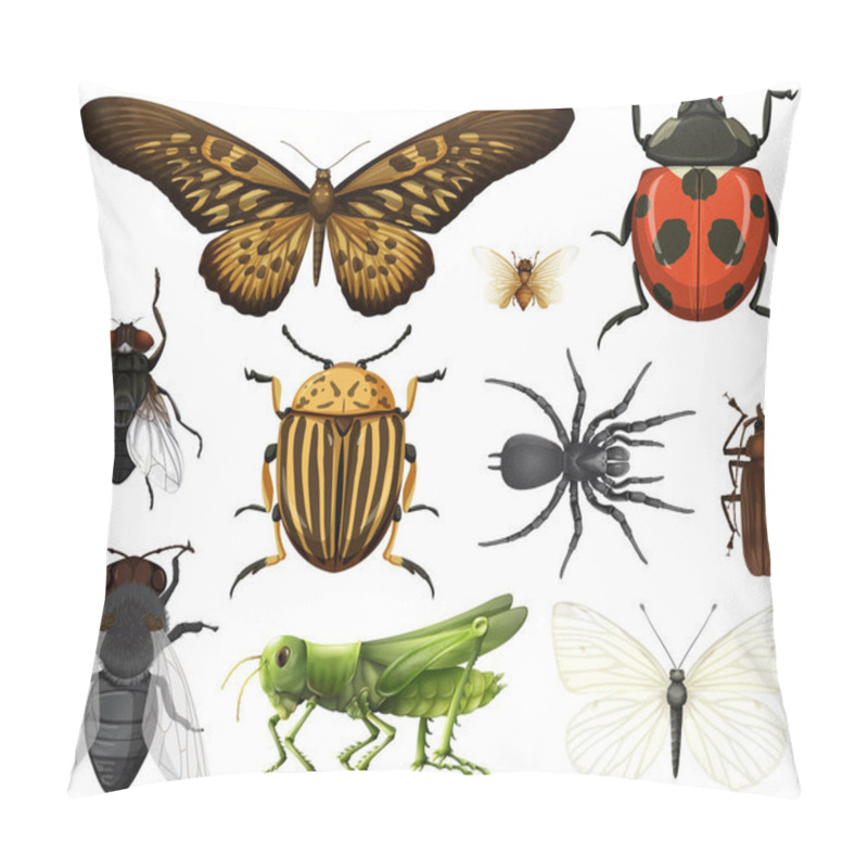 Personality  Different Insects Collection Isolated On White Background Illustration Pillow Covers