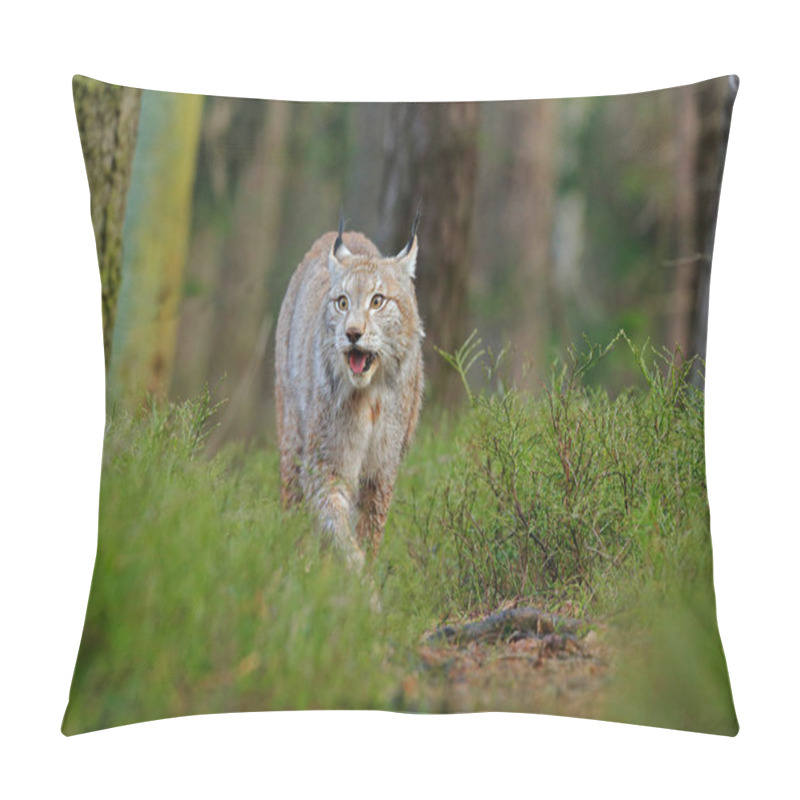 Personality  Lynx In Green Forest. Wildlife Scene From Nature. Walking Eurasian Lynx, Animal Behaviour In Habitat. Wild Cat From Germany. Wild Bobcat Between The Trees. Hunting Carnivore In Autumn Grass. Pillow Covers