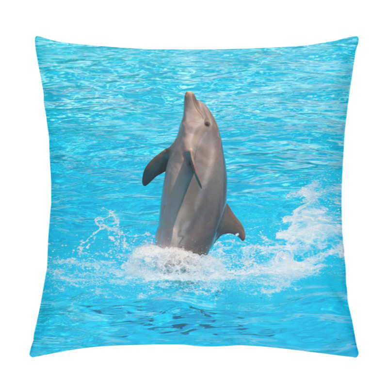 Personality  Dolphin Pillow Covers