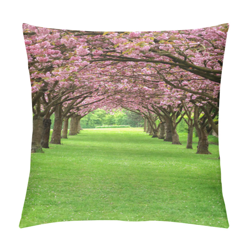 Personality  Cherry Blossom In Copenhagen Pillow Covers