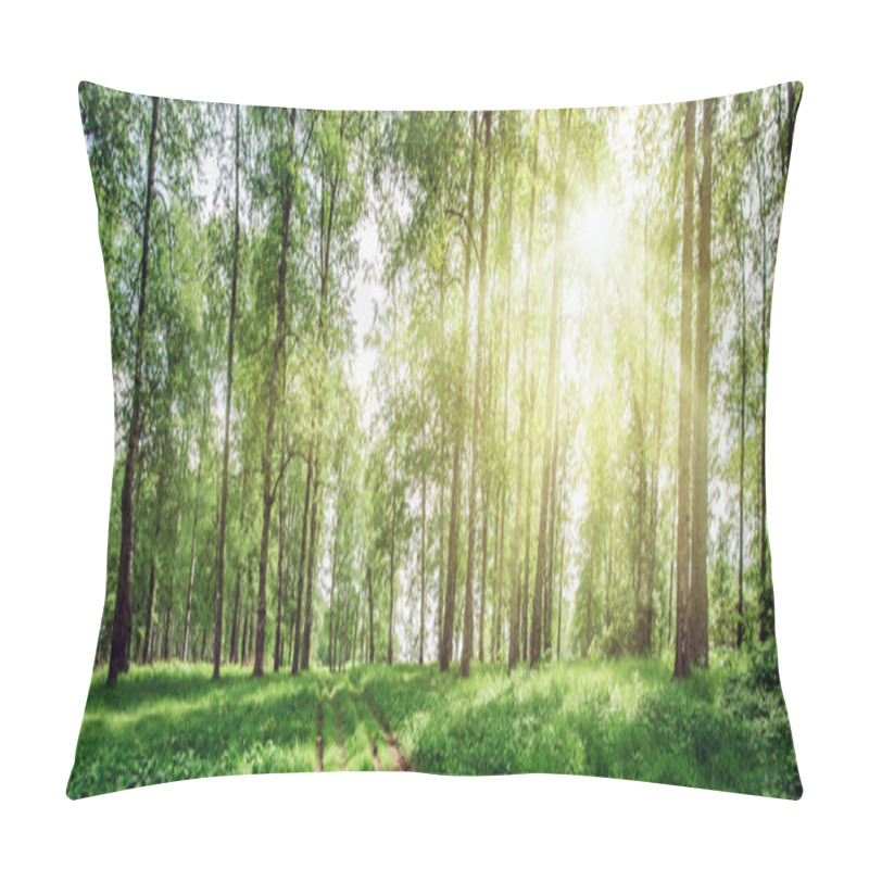 Personality  Beautiful Forest Background Pillow Covers