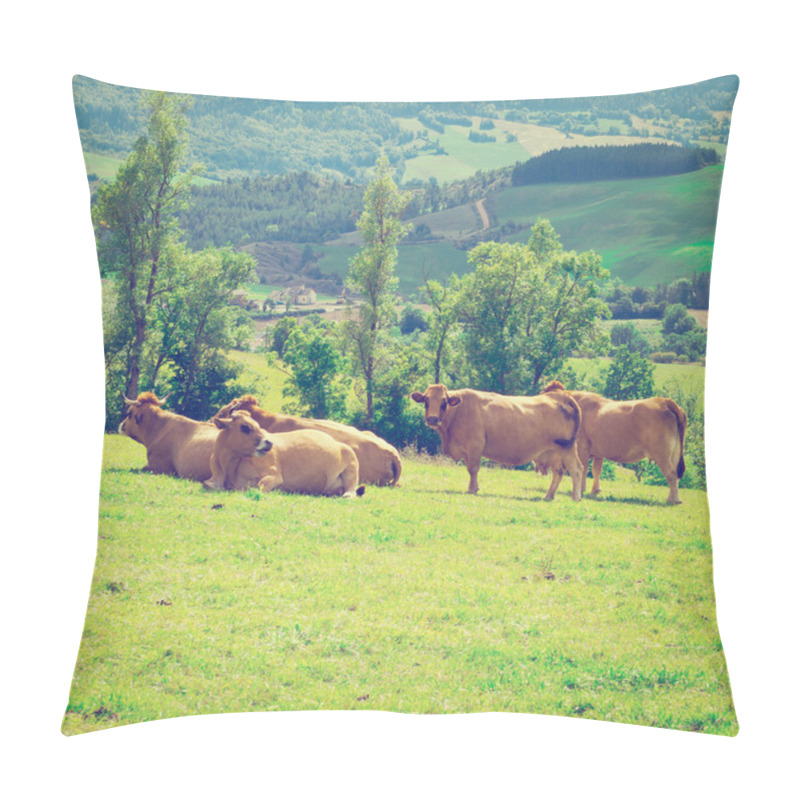 Personality  Cows Pillow Covers