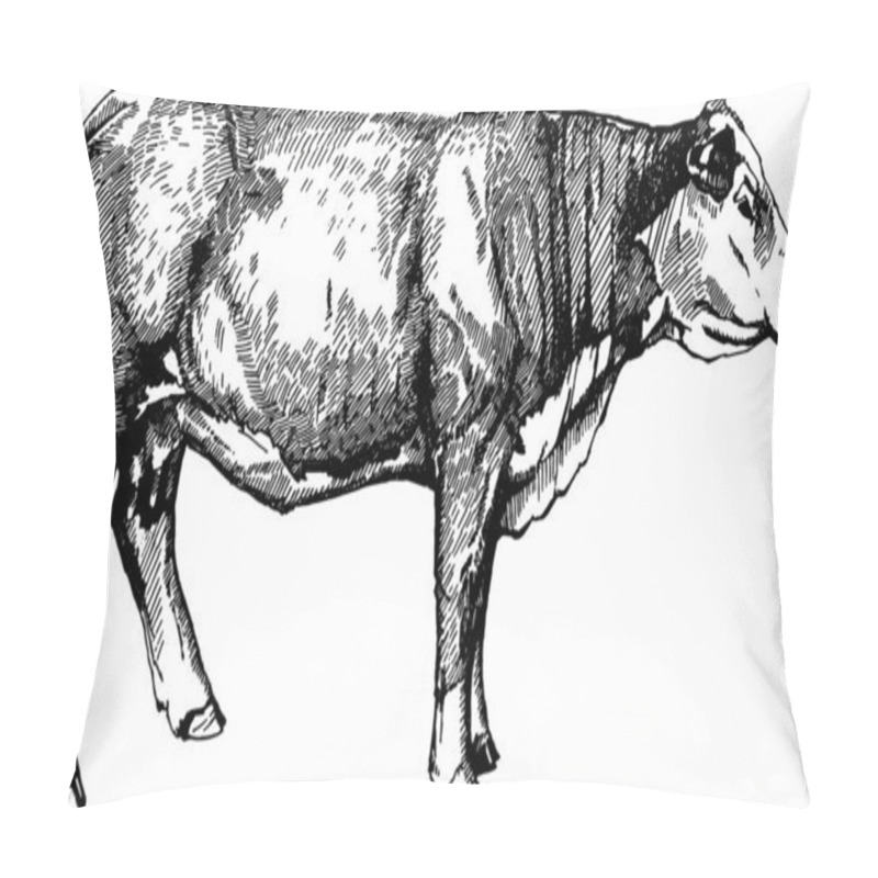 Personality  Vector Cows Graphics Illustration Farm Animals Hereford Calf Pillow Covers