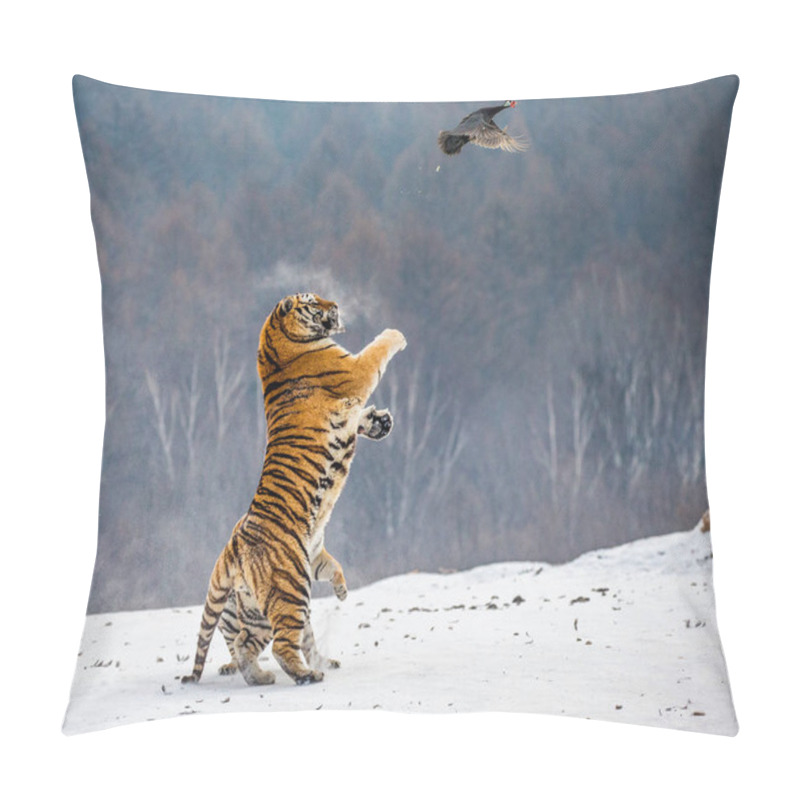 Personality  Siberian Tiger Jumping And Catching Prey Bird In Winter Forest, Siberian Tiger Park, Hengdaohezi Park, Mudanjiang Province, Harbin, China.  Pillow Covers