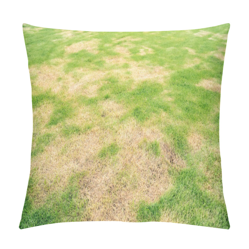 Personality  Pests And Disease Cause Amount Of Damage To Green Lawns, Lawn In Bad Condition And Need Maintaining Pillow Covers