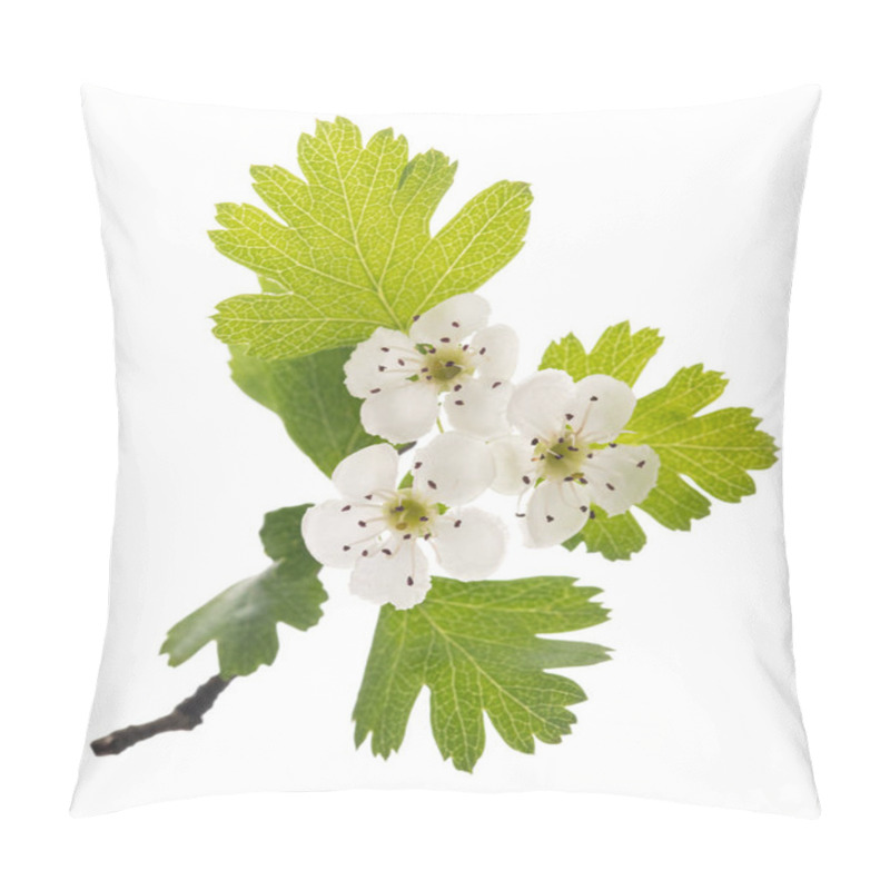 Personality  Hawthorn Pillow Covers