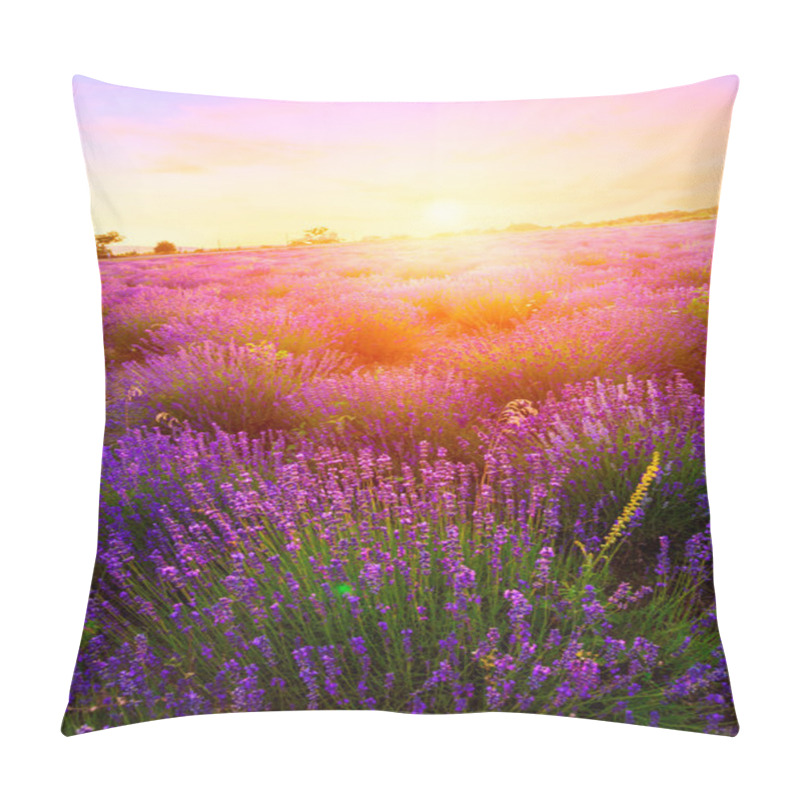 Personality  Sunset Over A Summer Lavender Field In Tihany Pillow Covers