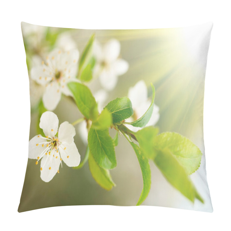 Personality  Spring White Blossoms Pillow Covers