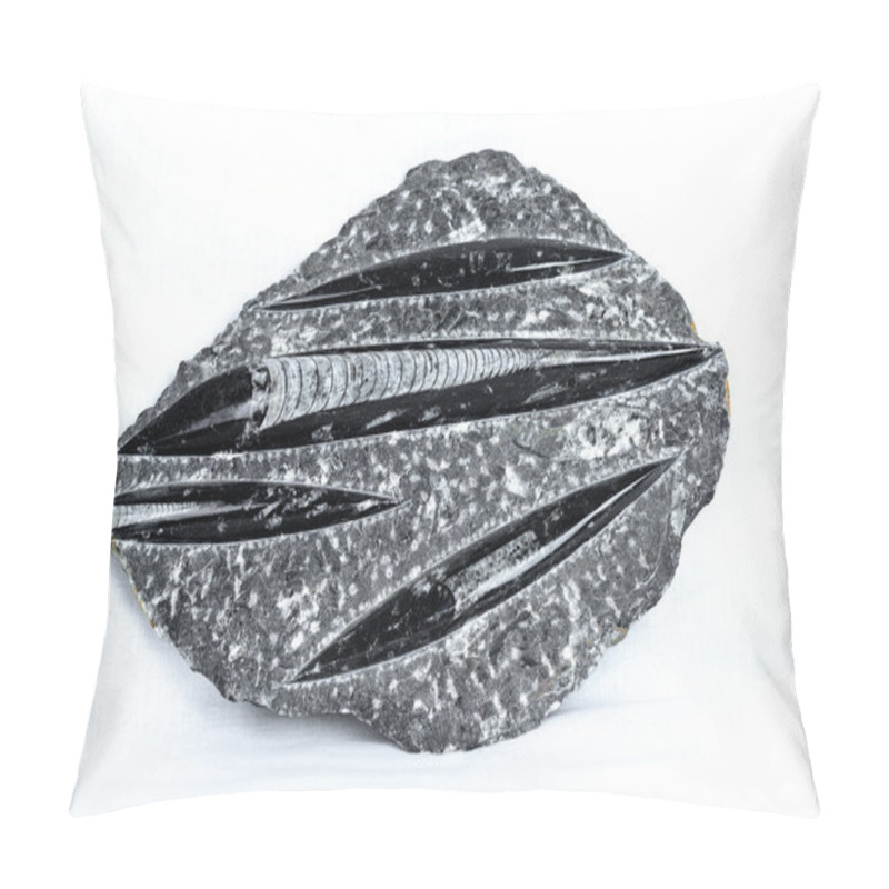 Personality  Orthoceras Stone Fossil Pillow Covers