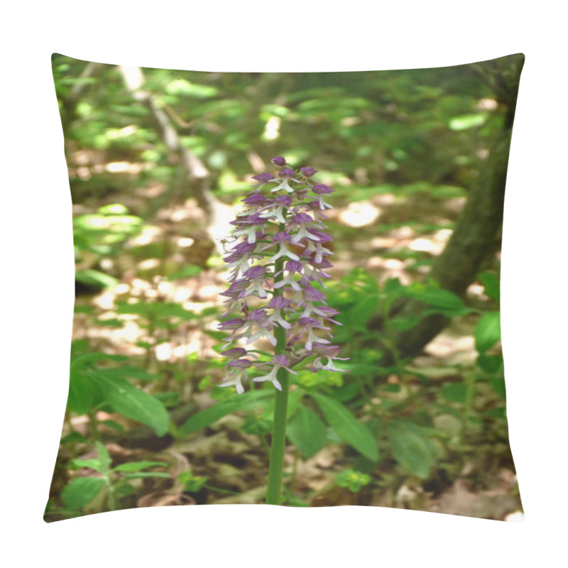 Personality  A Beautiful Meadow In The Forest With Orchis Flowers And Green Grass. Wild Natural Landscape. Floral Banner With Orchis Flowers Pillow Covers