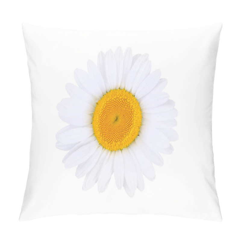 Personality  Chamomile Isolated On White Background Pillow Covers