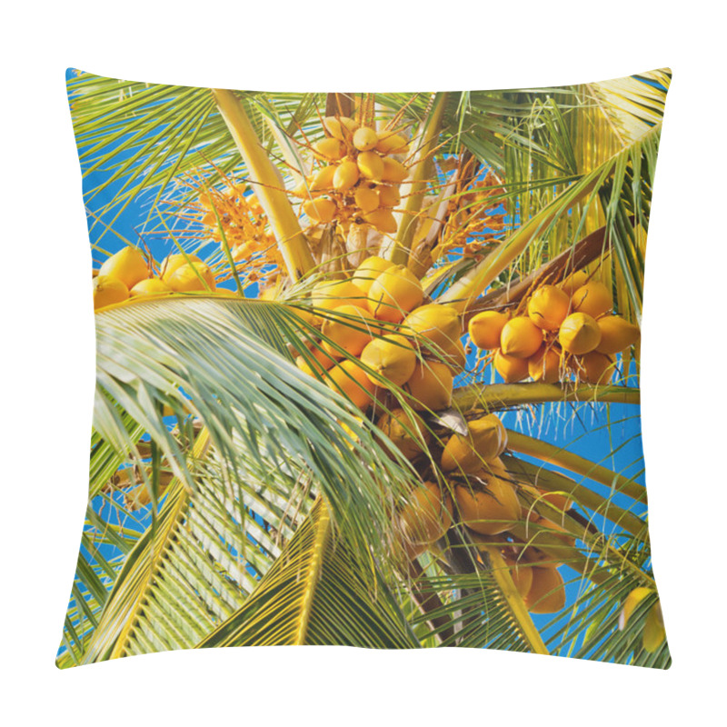 Personality  Coconuts On The Palm Tree Pillow Covers