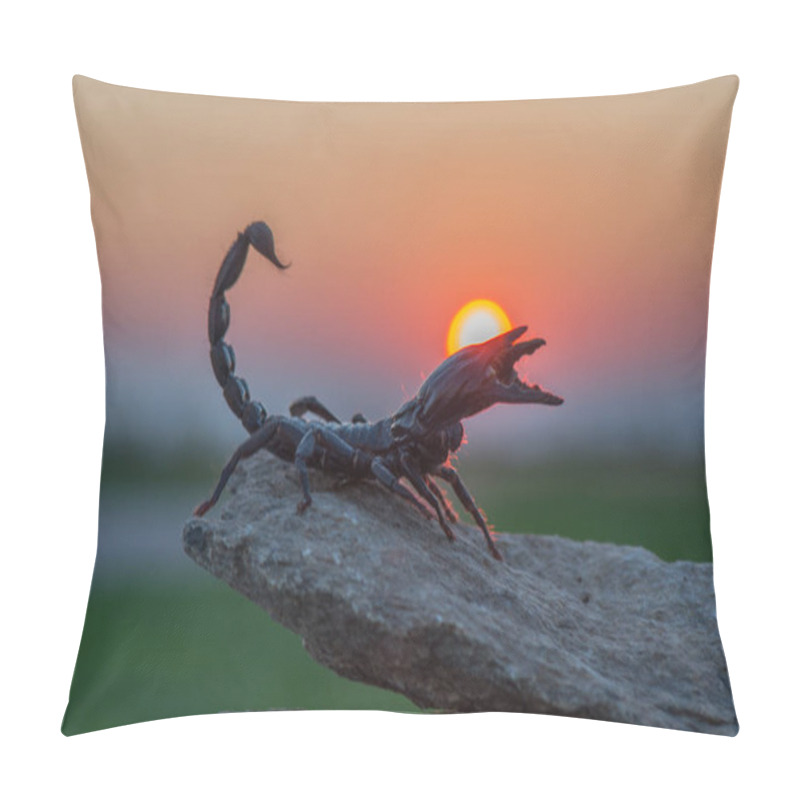 Personality   Scorpion  And Savannas In West Africa. Pillow Covers