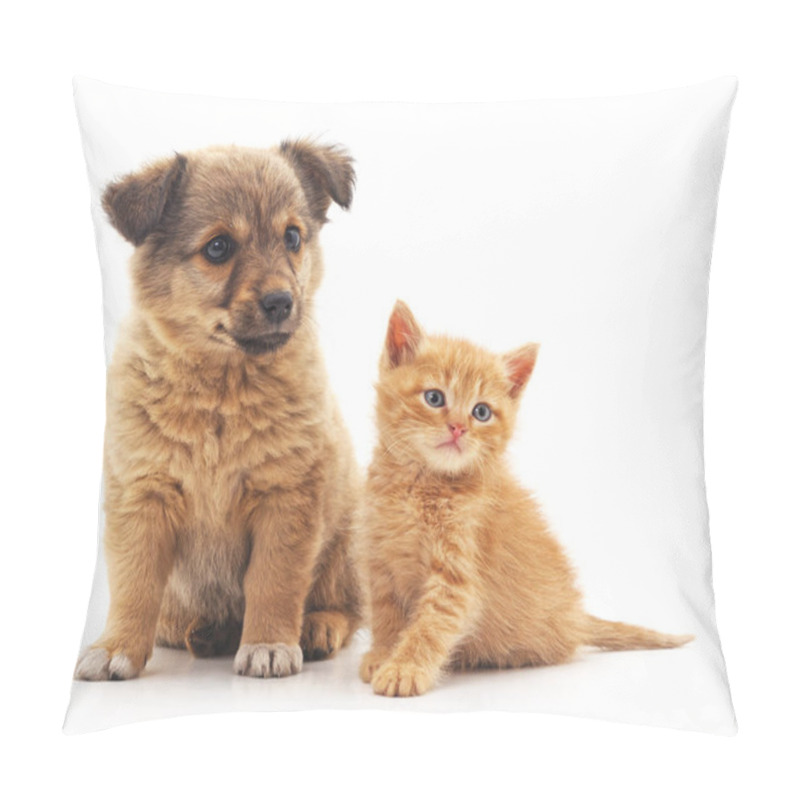 Personality  Puppy And Kitten. Pillow Covers