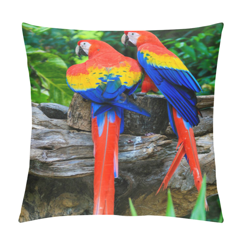 Personality  2 Red Blue Parrot Gnawing On The Tree Pillow Covers