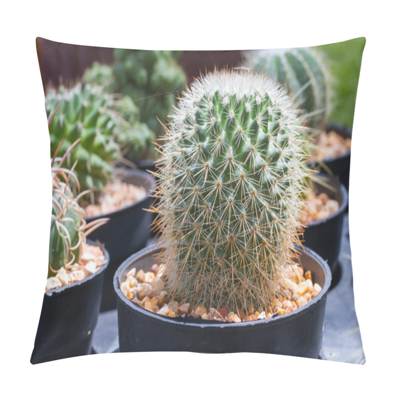 Personality  Cactus In Flower Pot Pillow Covers