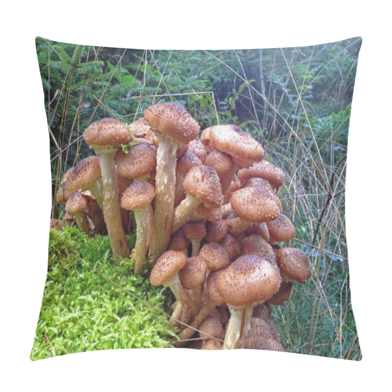 Personality  Beautiful Forest Landscape On Background Pillow Covers