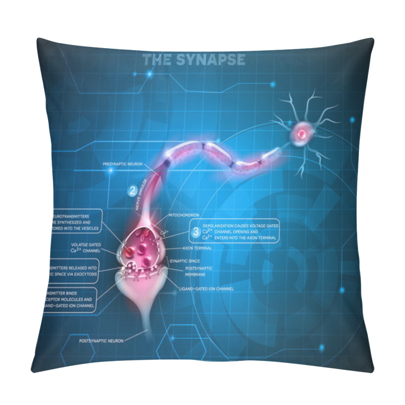 Personality  Synapse Detailed Anatomy Pillow Covers