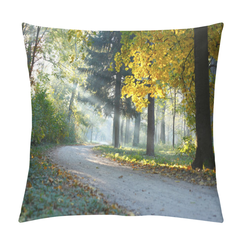 Personality  Autumn Landscape The Sunbeams Pillow Covers