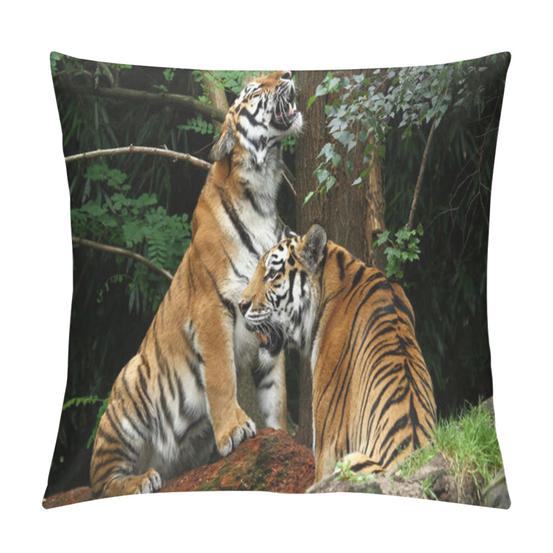 Personality  Closeup Of Animal At Zoo Pillow Covers