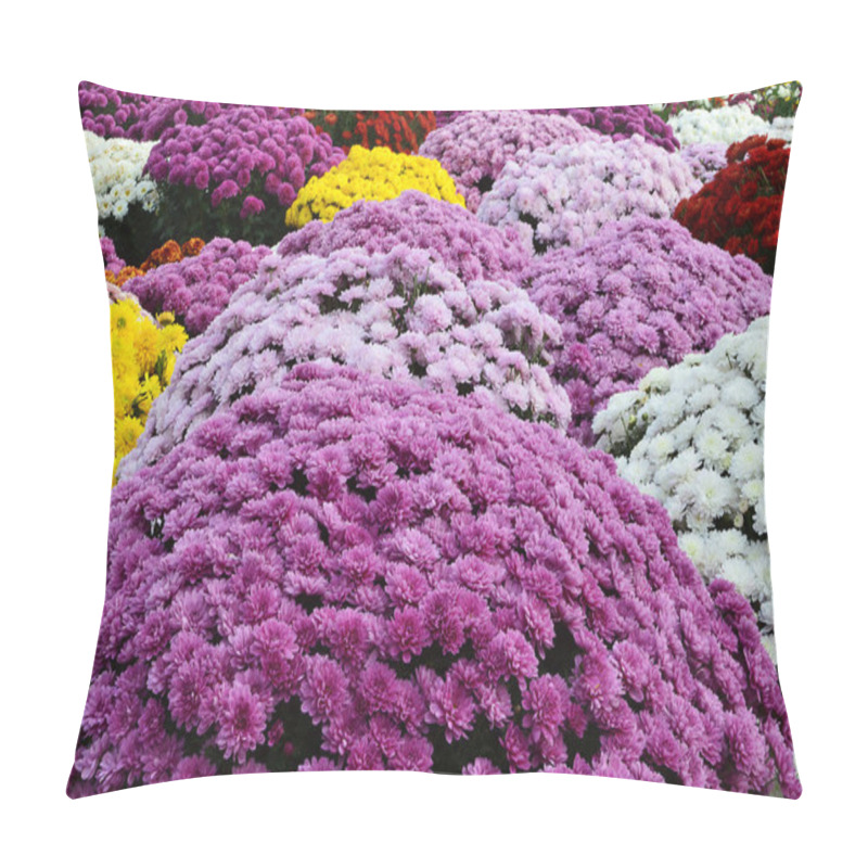 Personality  Chrysanthemum Flowers Pillow Covers