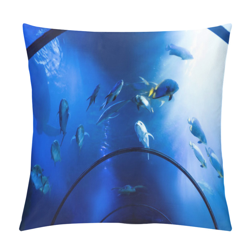 Personality  Fishes Swimming Under Water In Aquarium With Blue Lighting Pillow Covers