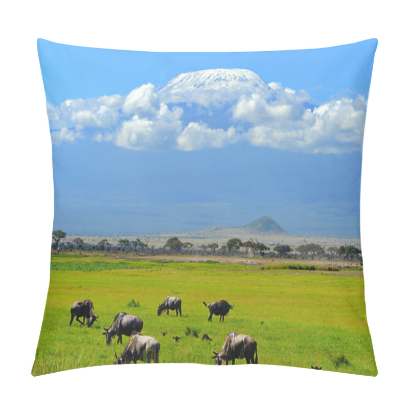 Personality  Wildebeest Pillow Covers