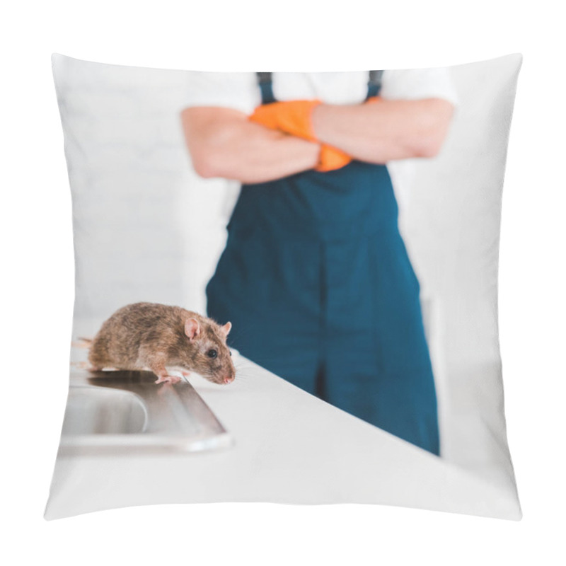 Personality  Selective Focus Of Small Rat Near Man With Crossed Arms  Pillow Covers