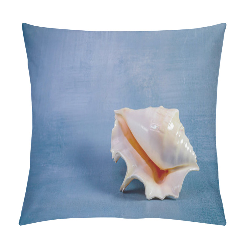 Personality  A Beautiful Wavy Seashell In An Ivory Tone Is Displayed On A Textured Dark Blue-gray Background, Emphasizing Its Natural Elegance And Intricate Design. Pillow Covers