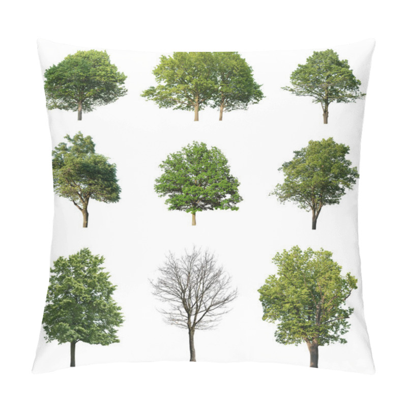 Personality  Trees Isolated On White Pillow Covers